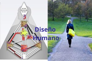 Diseño Humano